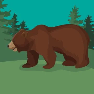 Large brown bear side view close-up walking in green wood. Stock Illustration