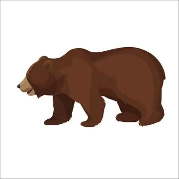 Large brown bear side view close-up graphic icon on white Stock Illustration