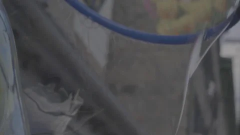 Large Bubble Stock Footage 127521800