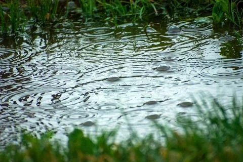 Large bubbles in a puddle during rainfall Stock Photos
