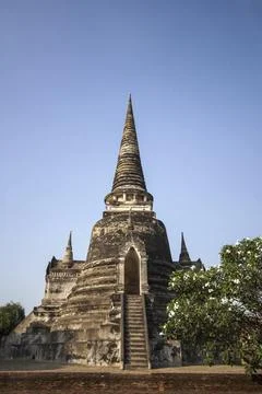 Large building with a steeple and a tree in front of it Stock Photos