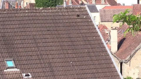 Large building surrounded by small dwellings Stock Footage 77263171