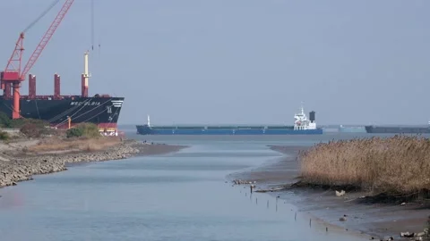 A large bulk cargo vessel built at a shipyard in Yangtze River in China Stock Footage 295166327
