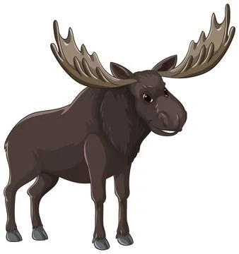 Large Bull Moose Vector Illustration with Antlers on White Background Ilustración de archivo