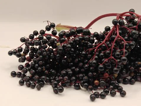 A large bunch of elderberries Stock Photos