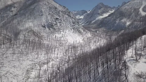 Large burn area in the mountains in the winter 스톡 동영상 166239744