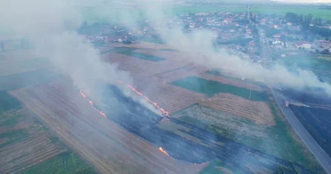 Large bush fire is burning in field with dense smoke rising into the sky Stock Footage 292687886