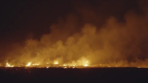 Large bush forest fire is burning in the distance, with smoke and flames visi Stock Footage 294974955