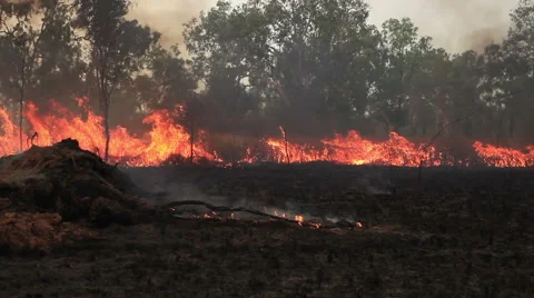 Large bushfire Stock Footage 57680131