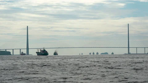 Large cable-stayed bridge over water. Vessels in silhouette under bridge Stock Footage 237314979