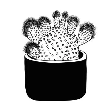 Large cactus with fluffy needles in a black pot Stock Illustration