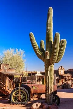 A large cactus is standing in front of a building with a rusty old tractor .. Stock Photos