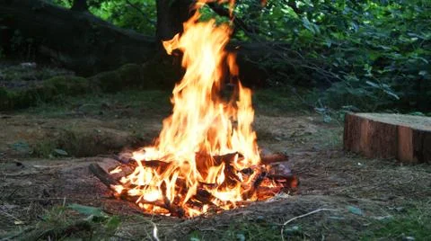 Large Campfire Burning in the Forest. Fire Burning Wood in the Campfire Stock Photos