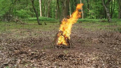 Large Campfire Burning in the Forest. Fire Burning Wood in the Campfire Stock Photos