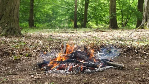 Large Campfire Burning in the Forest. Stock Footage 112683041