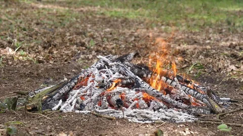Large Campfire Burning in the Forest. Stock Footage 112683048