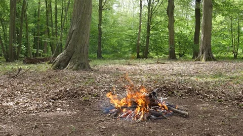 Large Campfire Burning in the Forest. Stock Footage 112683065