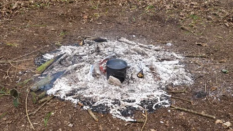 Large Campfire Burning in the Forest. Stock Footage 112683103