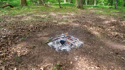 Large Campfire Burning in the Forest. Stock Footage 112683211