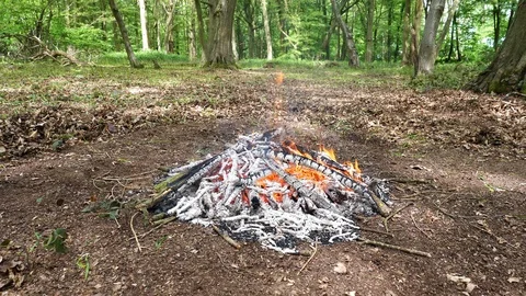 Large Campfire Burning in the Forest. Stock Footage 112683219
