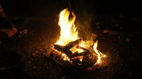 Large Campfire Burning in the Forest at Night. Fire Burning Wood in the Campfire Stock Photos