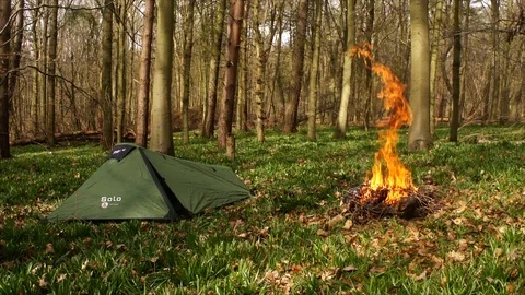Large Campfire Burning infront of Tent. Camping in the Forest Stock Footage 109679292