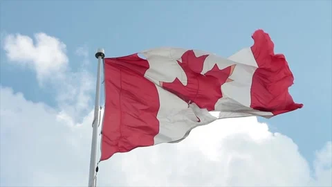 Large canadian canada flag on flagpole with rip hole in it blowing waving Video stock 249759498