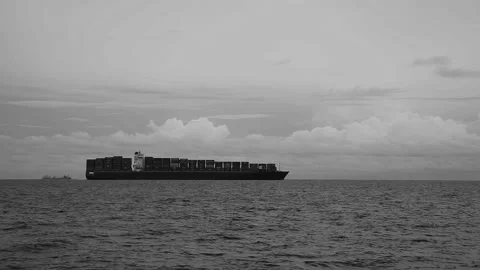 Large cargo ship. A bulk carrier carries cargo across the ocean. Video stock 134039802