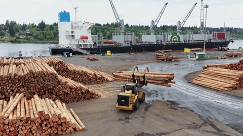 Large cargo ship docked at timber port with yellow log loader moving massive Stock Footage 335894614