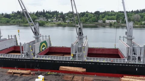 Large cargo ship with green yellow logo, empty holds, loading cranes, timber Stock Footage 335894626