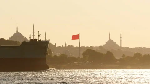 Large cargo ship sail at Bosphorus against Fatih area, telephoto view Stock Footage 164230560