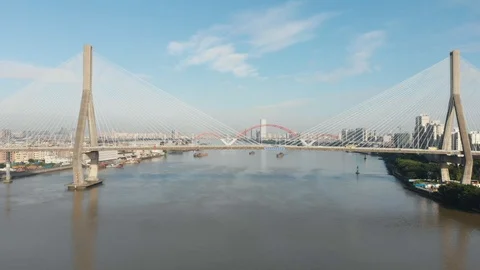 Large cargo ships sail under cable-stayed bridges Stock Footage 113665198