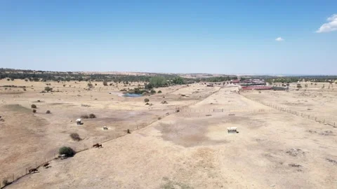 Large cattle farm on Spain - 283 Stock Footage 310552344