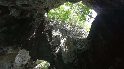 A large cave skylight with natural light streaming into the dark cavern. Vidéo 335797913