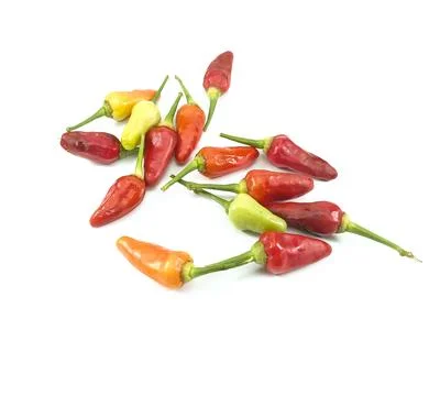 Large cayenne pepper, with a white background Stock Photos