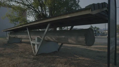 Large Cedar log tree trunk memorial attraction in Lismore NSW Australia Stock Footage 158976044