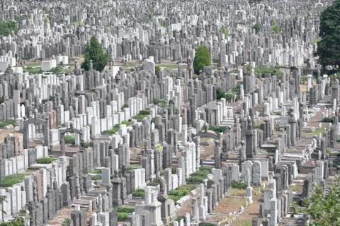 Large Cemetery Stock Photos