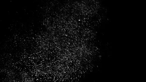 Large Charred Flakes Floating for Disaster VFX Stock Footage 322559557