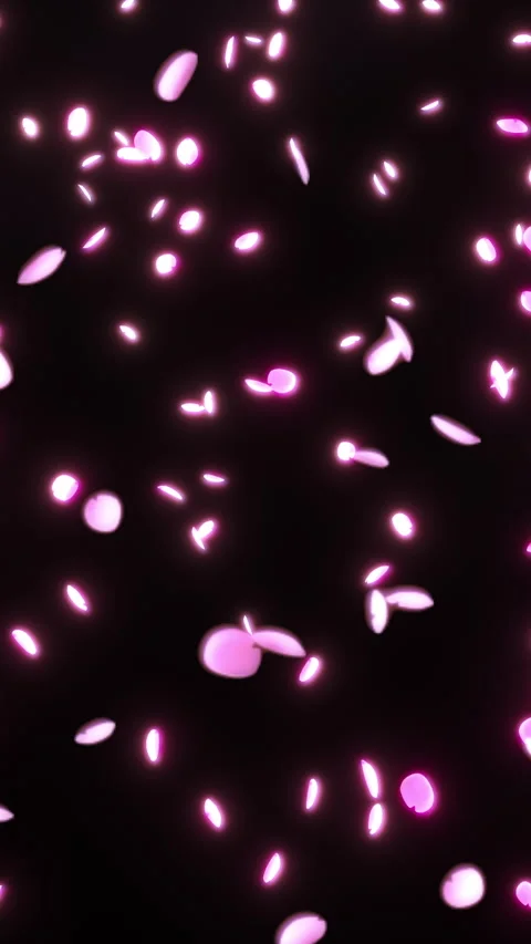 Large Cherry Blossom Petals Falling on Black Vertical Seamless Loop Video stock 345852633