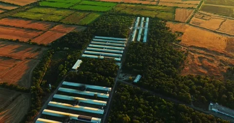 Large Chicken Farm Surrounded By Wheat Fields Mixed Crops Aerial Orbit Rise Stock Footage 289419963