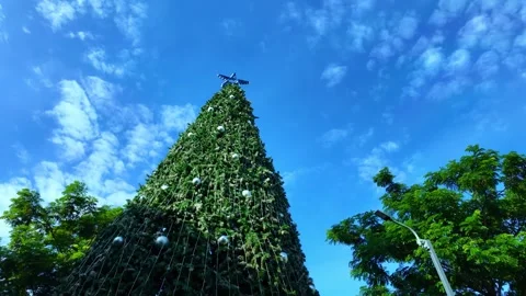Large christmas tree and blue sky Stock Footage 259048203