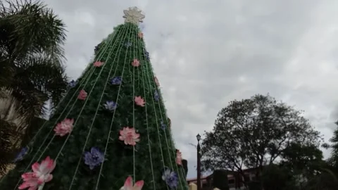 A large christmas tree beside the Tall TAAL words located at Taal Church. Stock Footage