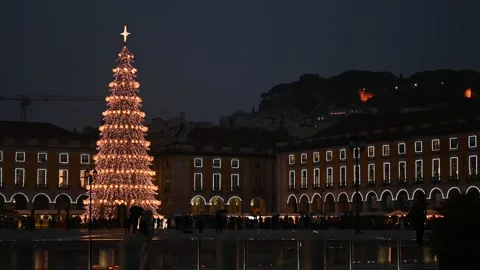 Large Christmas tree illuminated in central city square Video stock 325045090