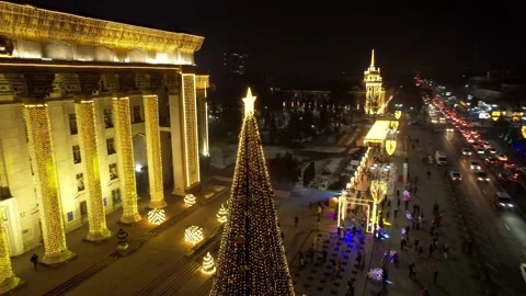 A large Christmas tree in the lights on the square Video stock 229921551