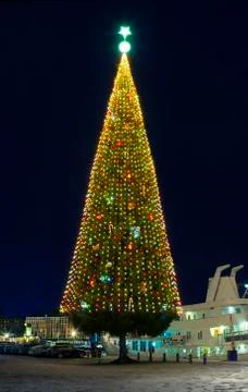 .A large Christmas tree Stock Photos