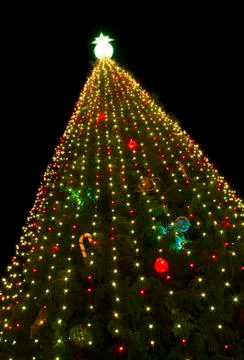 A large Christmas tree Stock Photos