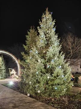 Large Christmas tree Stock Photos