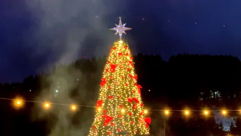 Large christmas tree with red bows and string lights at night Stock Footage 312879794