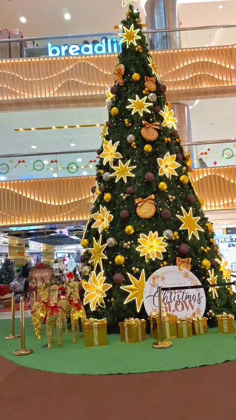 Large Christmas Tree. Tree Stands Center. Christmas Tree Hall Stock Footage 322205178