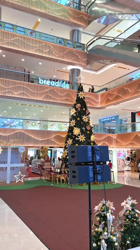 Large Christmas Tree. Tree Stands Center. Christmas Tree Hall Stock Footage 322205241